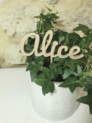 cake topper personnalisable prénom âge phrase